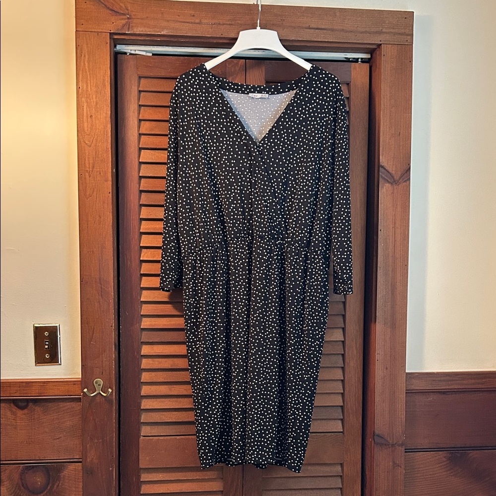 Dex Black Polka Dot Long Sleeve V-Neck Dress
